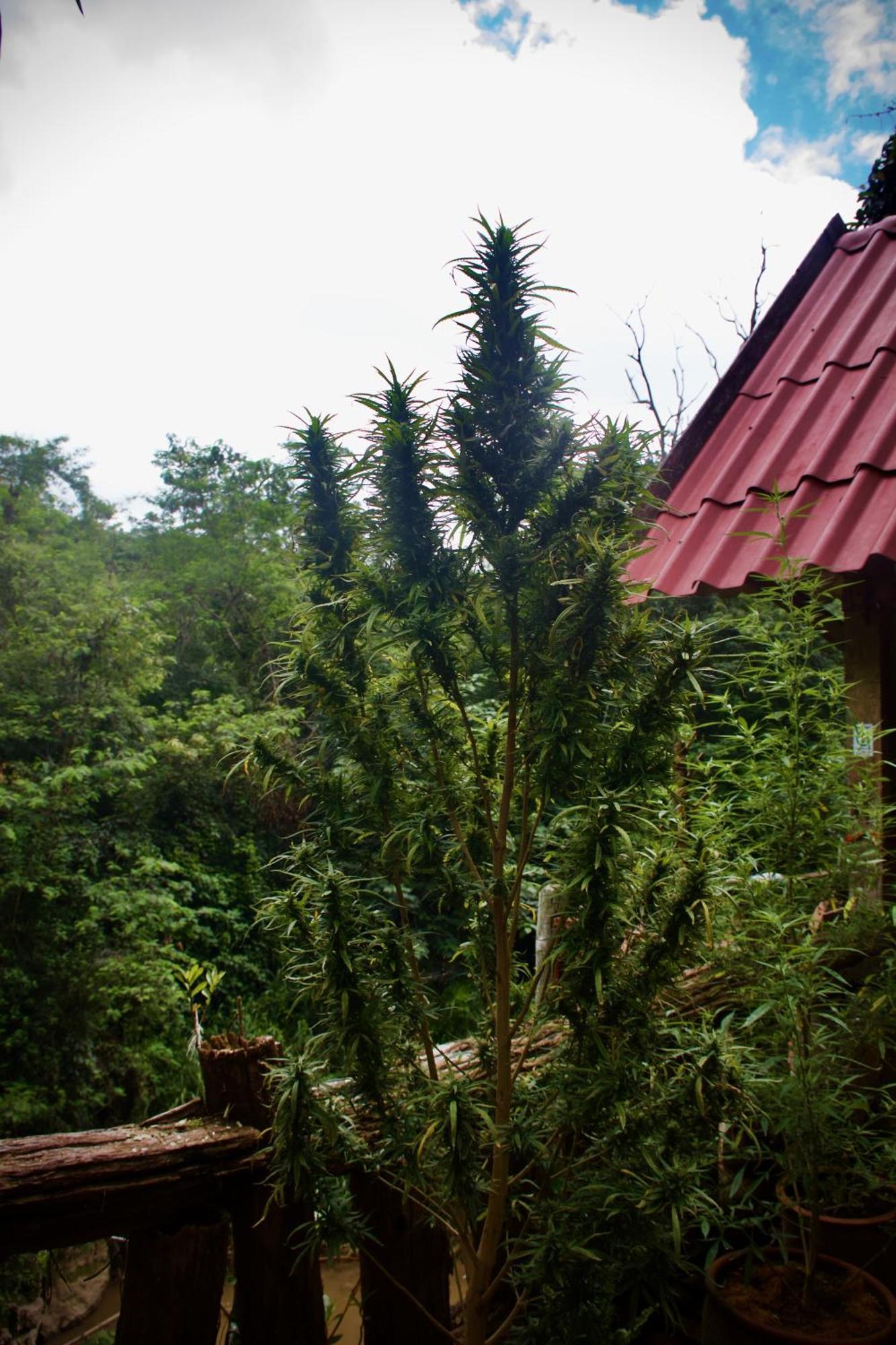 Aerie Lodge Pangmapha Kültér fotó